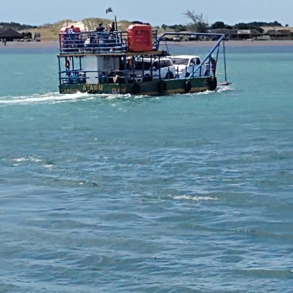 IMG-20250317-WA0034