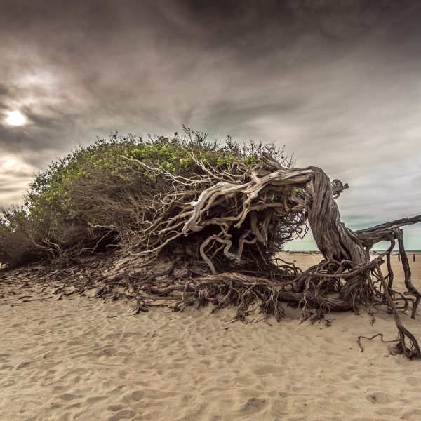 c500px