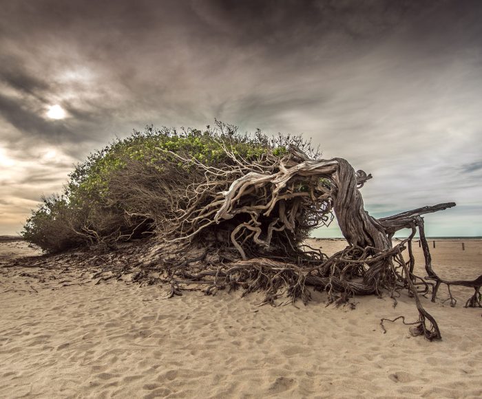 c500px